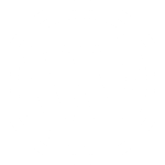 WordPress Themes & Plugins
